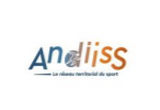 Logo Andiss
